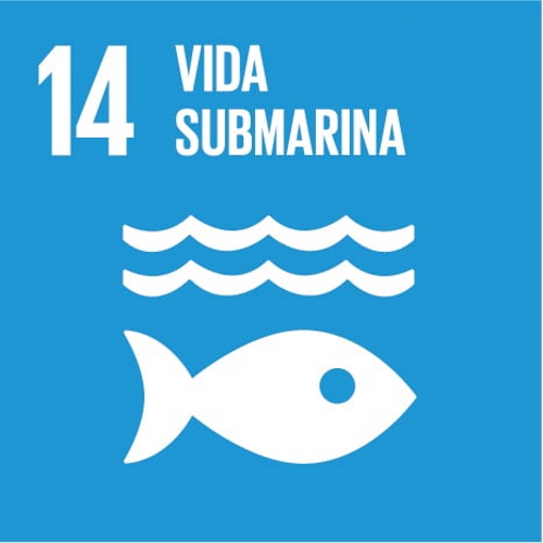 14. Conservar y utilizar sosteniblemente los océanos, los mares y los recursos marinos